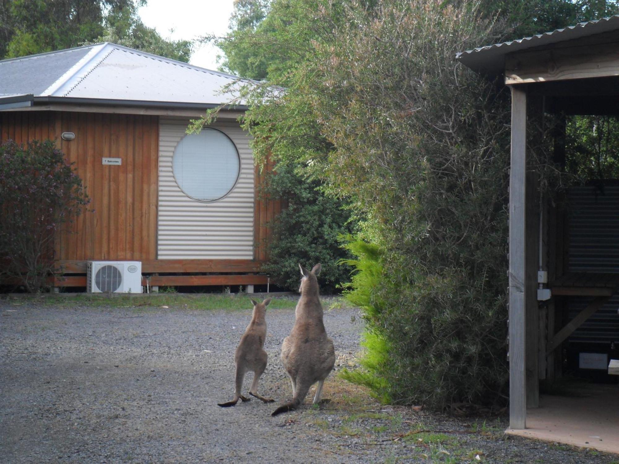 Grampians Chalets Halls Gap Kültér fotó