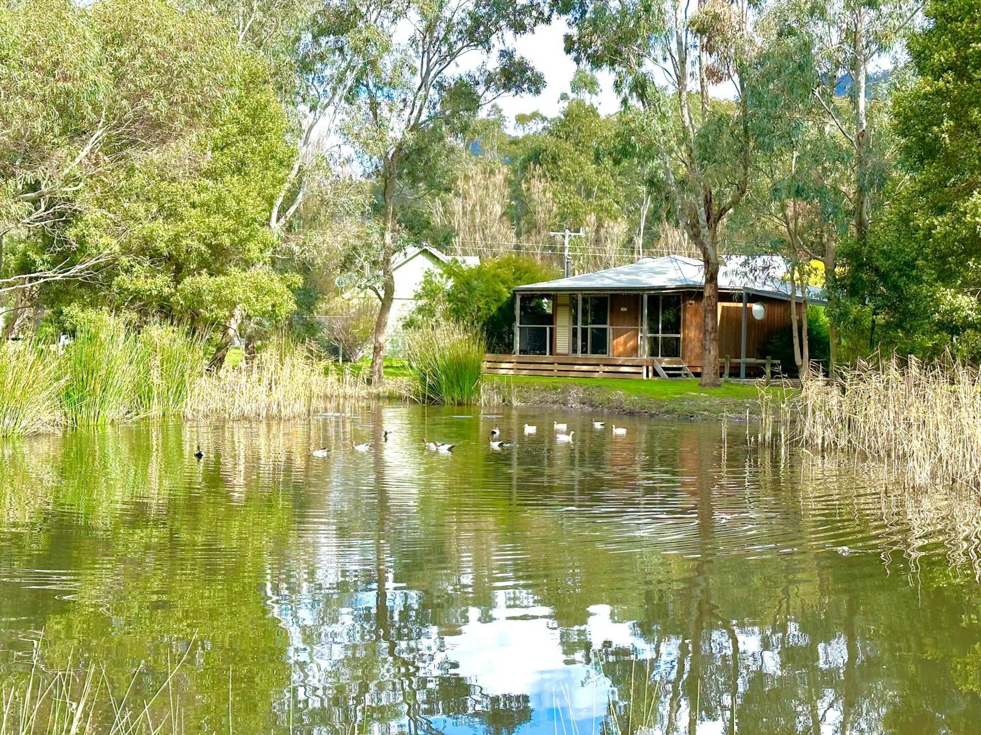 Grampians Chalets Halls Gap Kültér fotó